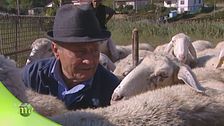 Di padre in figlio