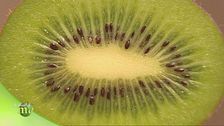 Kiwi, un alleato per il nostro sistema immunitario e non solo