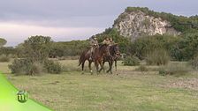 Butteri della Maremma