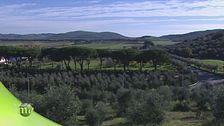 Prodotti della Maremma