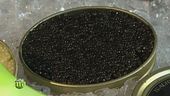 Apprezzare sapore e qualità del caviale