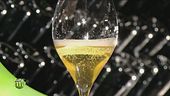 Bollicine dal 1902