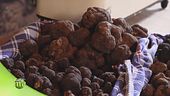 Degustazione di tartufi
