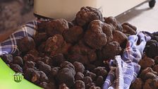 Degustazione di tartufi