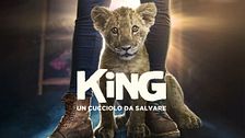 King - Un cucciolo da salvare