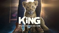 King - Un cucciolo da salvare