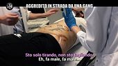 PELAZZA: Accoltellato a Milano dalla gang Ms13 del Salvador?