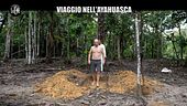 BASTIANICH: Viaggio nell'Ayahuasca