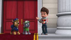 I cuccioli fermano il ghepardo