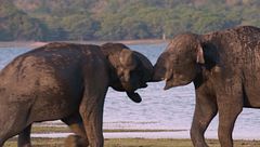 Ep. 3 - Sulle tracce delle origini dell'uomo