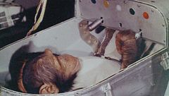 Ep. 4 - Il mistero della miniera gallese