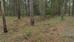 Ep. 12 - Il forte degli orrori