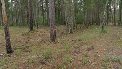 Ep. 12 - Il forte degli orrori