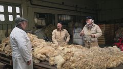 Il mistero della lana rifiutata