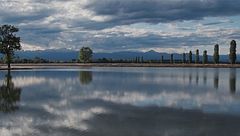 Coltivare la cosa giusta nel posto giusto: la risaia