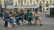 Il Wool Crossing a Torino