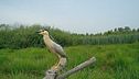 Il Parco Naturale del lago di Candia