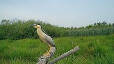 Il Parco Naturale del lago di Candia