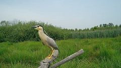 Il Parco Naturale del lago di Candia