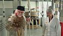 La lavorazione del Grano del Senatore Cappelli