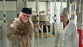 La lavorazione del Grano del Senatore Cappelli