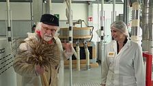 La lavorazione del Grano del Senatore Cappelli