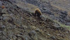 Ep. 2 - Parco nazionale Gates of the Artic