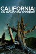 Ep. 2 - Una terra di contrasti
