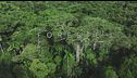 Ep. 2 - Foreste