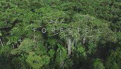 Ep. 2 - Foreste