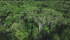 Ep. 2 - Foreste