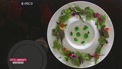 Misticanza di erbe amare con sciroppo di cipolle e infuso alcolico di erbe