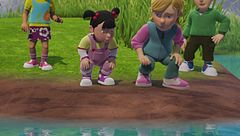 Alla ricerca di Sharky