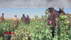 Afghanistan, la piaga dell'oppio
