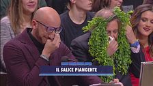 Il salice piangente