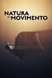 Ep. 1 - Movimento fluido