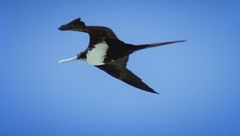 Ep. 3 - Sfidare la gravità