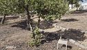Il Giardino dei Giusti