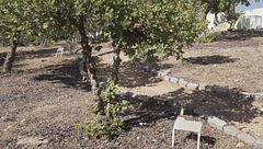 Il Giardino dei Giusti