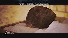 Egitto: a tu per tu con Tutankhamon
