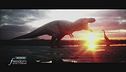 I dinosauri e l'animale più antico