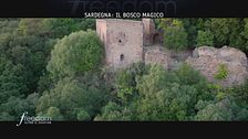 Sardegna: il bosco magico