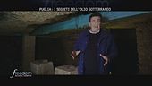 Puglia: i segreti dell'olio sotterraneo
