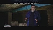 Puglia: i segreti dell'olio sotterraneo