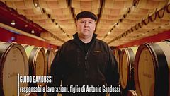 Ca' del Bosco: pensare in grande