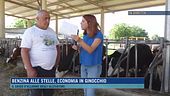 In diretta, il grido d'allarme degli allevatori e dei pescatori