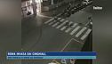 Roma invasa dai cinghiali