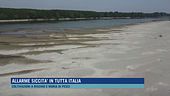 Allarme siccità in tutta Italia