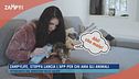 Zampylife, Stoppa lancia l'app per chi ama gli animali