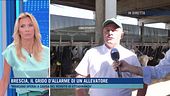 Brescia, il grido di allarme di un allevatore